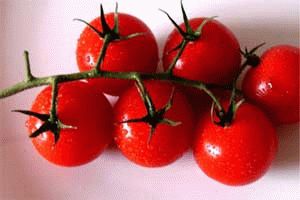 томаты без рассады