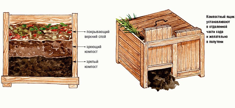 компостная яма для подкормки для растений