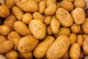Как хранить картофель в квартире без электрического отопления